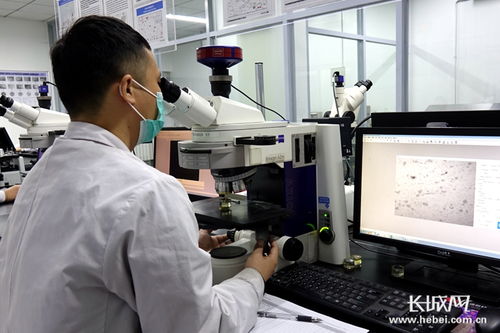 四通新材 防控生產雙驅動，國內外訂單全面恢復，新材料研發蓄力未來